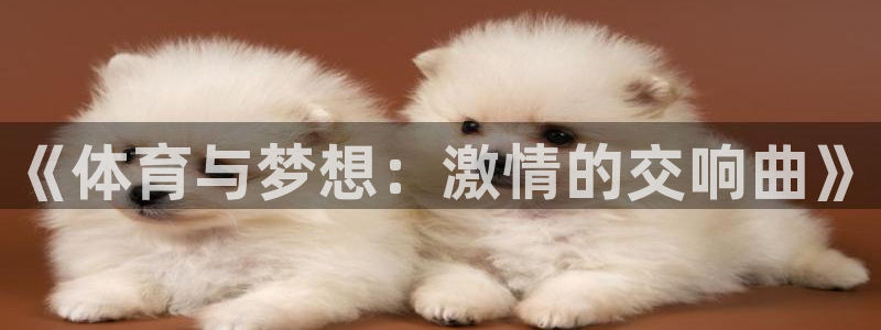 德国欧亿体育官方正版app集团:《体育与梦想:激情的交响曲》