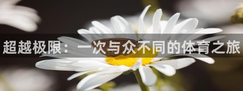 oety欧亿体育官网下载招商电话号码查询是多少:超越极限:一