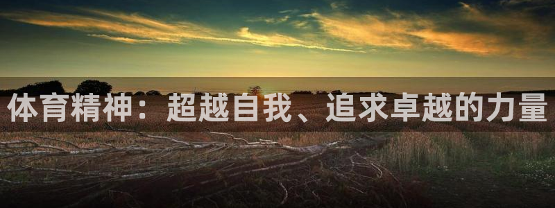 欧亿体育官方正版app官网:体育精神:超越自我、追求卓越的力
