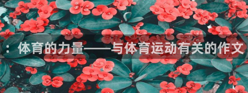 oety欧亿体育官网下载招商电话号码查询::体育的力量——与