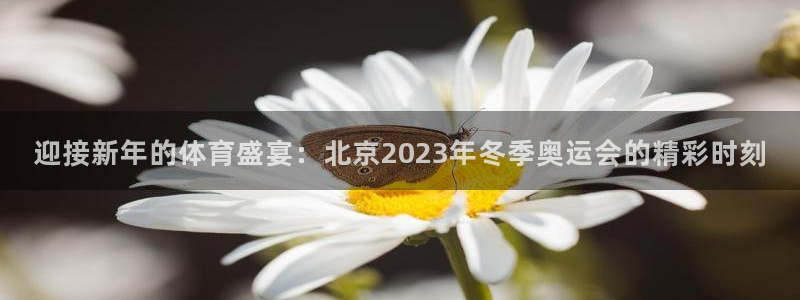 oety欧亿体育官网下载软件:迎接新年的体育盛宴:北京202